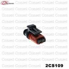 2CS109