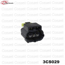 3CS029